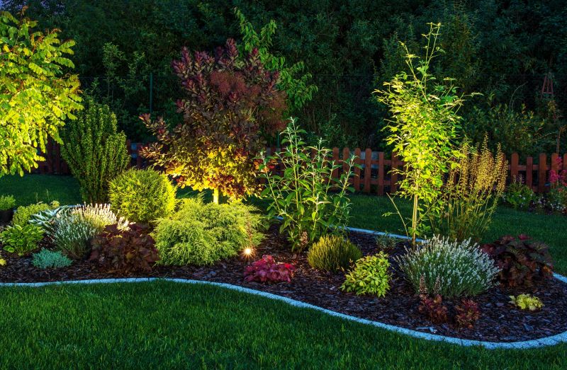 Tree and Landscape Uplighting